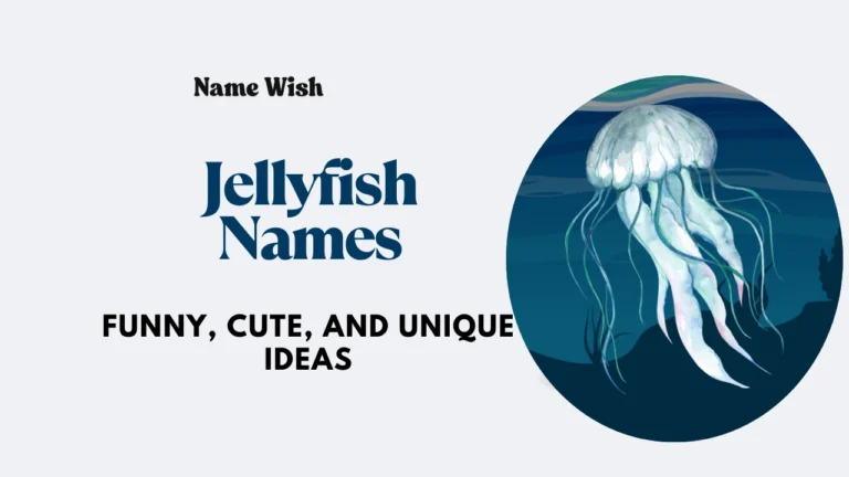 jellyfish names
