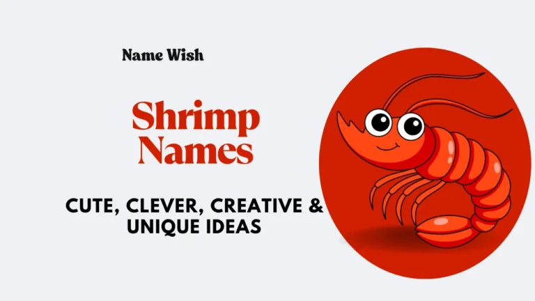 shrimp names