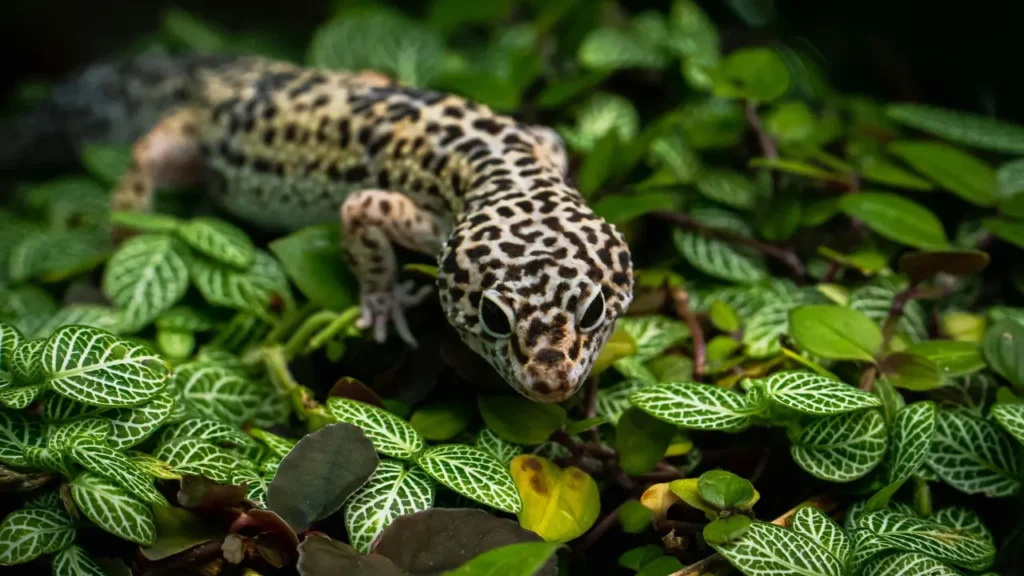 a leopard gecko is sitting on top of some plants
