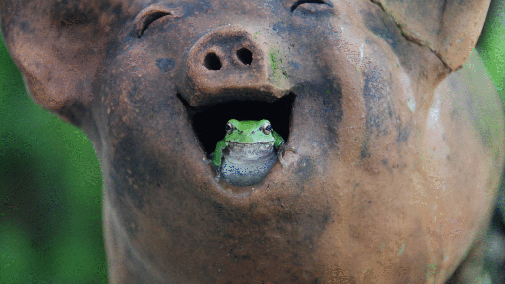 pig's statue