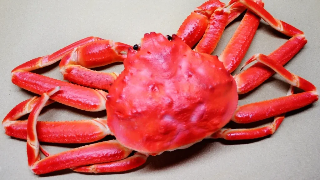 snow crab