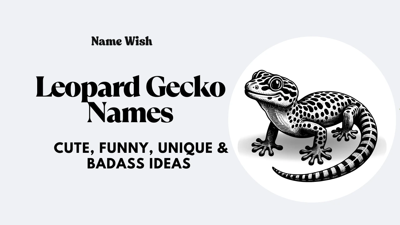 Leopard Gecko Names