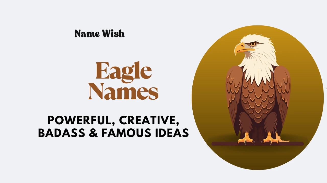 Eagle Names