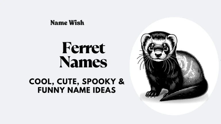 ferret names